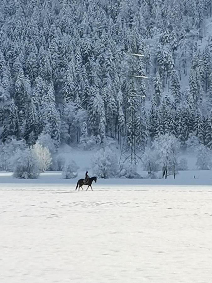 Landhaus Marie Хермагор Экстерьер фото